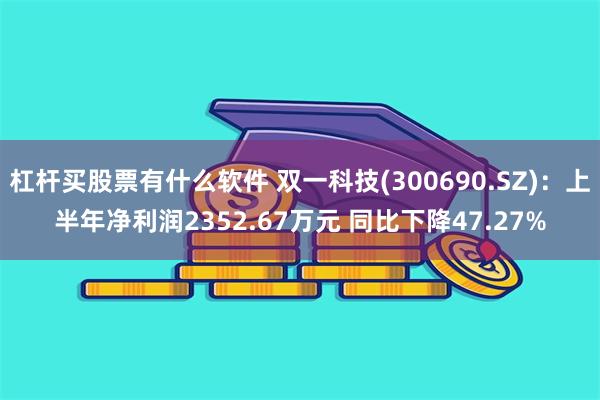 杠杆买股票有什么软件 双一科技(300690.SZ)：上半年净利润2352.67万元 同比下降47.27%