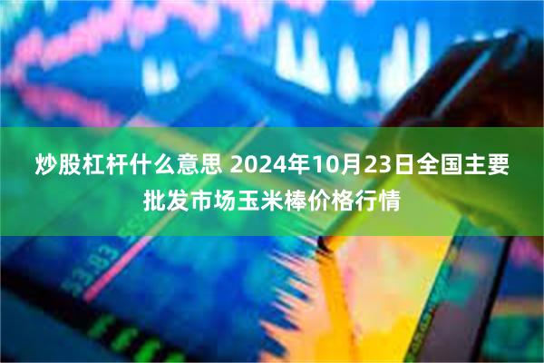 炒股杠杆什么意思 2024年10月23日全国主要批发市场玉米棒价格行情