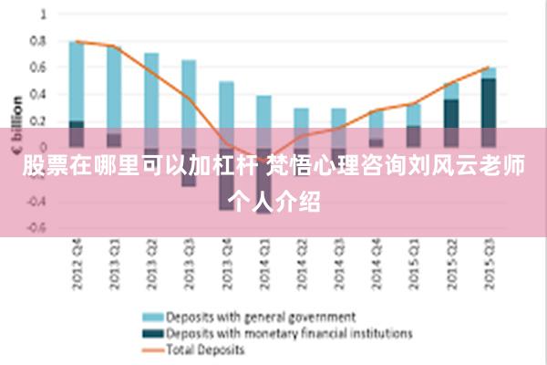 股票在哪里可以加杠杆 梵悟心理咨询刘风云老师个人介绍