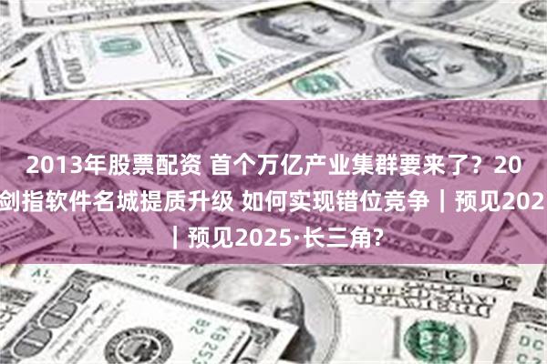 2013年股票配资 首个万亿产业集群要来了？2025年南京剑指软件名城提质升级 如何实现错位竞争｜预见2025·长三角?