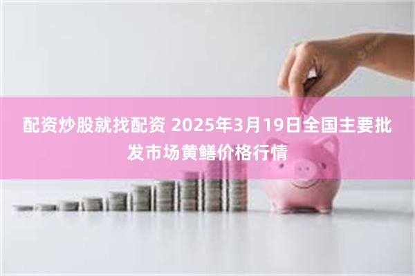 配资炒股就找配资 2025年3月19日全国主要批发市场黄鳝价格行情