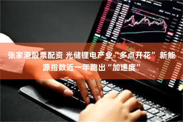 张家港股票配资 光储锂电产业“多点开花” 新能源指数近一年跑出“加速度”